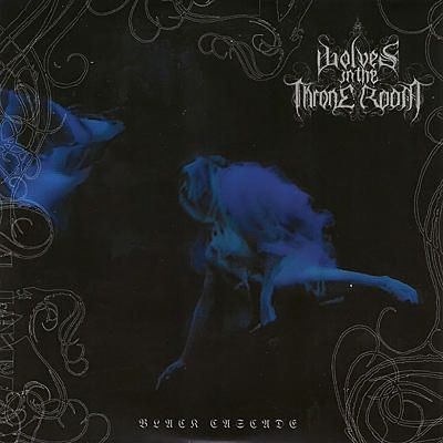 Metal detektor