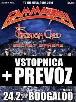 Gamma Ray