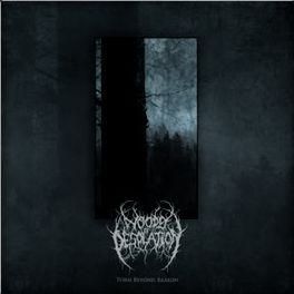 Metal detektor