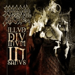 Illud Divinum Insanus