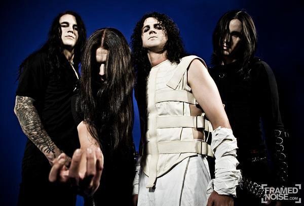 Netherbird