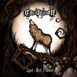 Lead - Not Follow