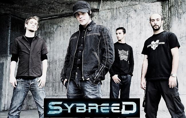 Sybreed