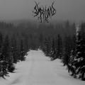 The Woods Is My Coffin