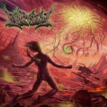 Primordium