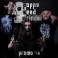 Promo 2014 (promo)