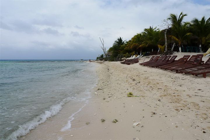 2011012428_70000_tom_107.jpg