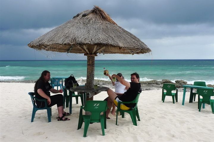 2011012428_70000_tom_108.jpg