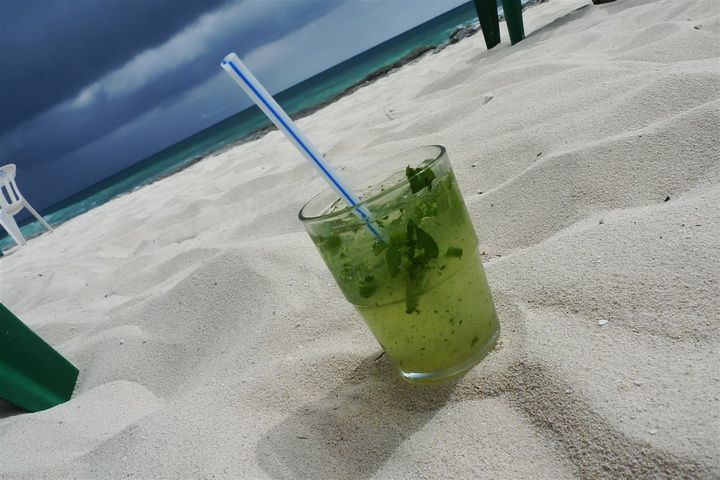 2011012428_70000_tom_109.jpg