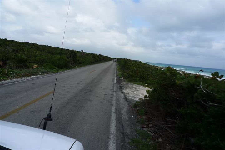 2011012428_70000_tom_110.jpg