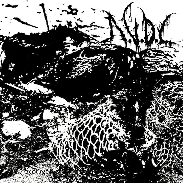 Drugi album A.V.D.L tudi v fizični obliki