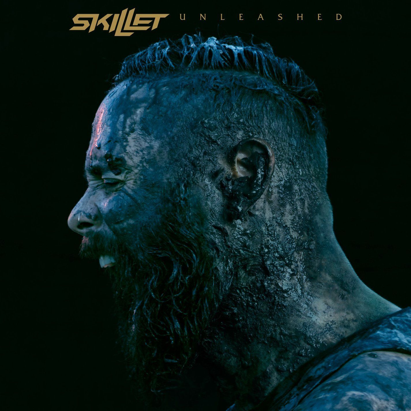 Skillet objavili novo skladbo