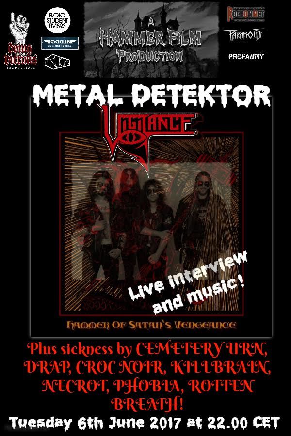 METAL DETEKTOR: Vigilance in gnus