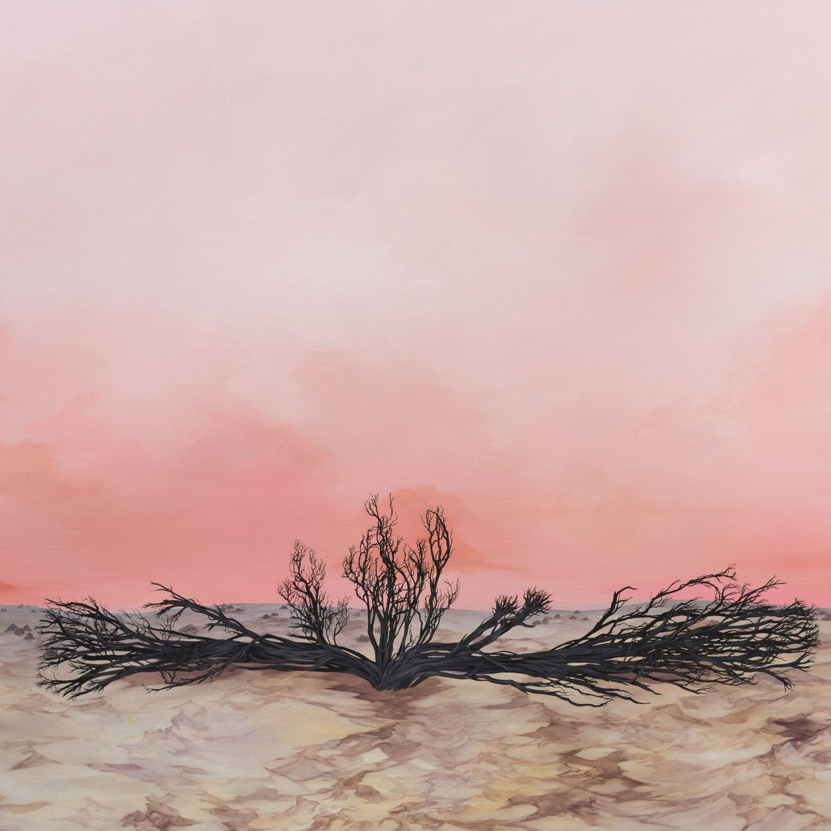 Kanadčani Mountain Dust z novim albumom
