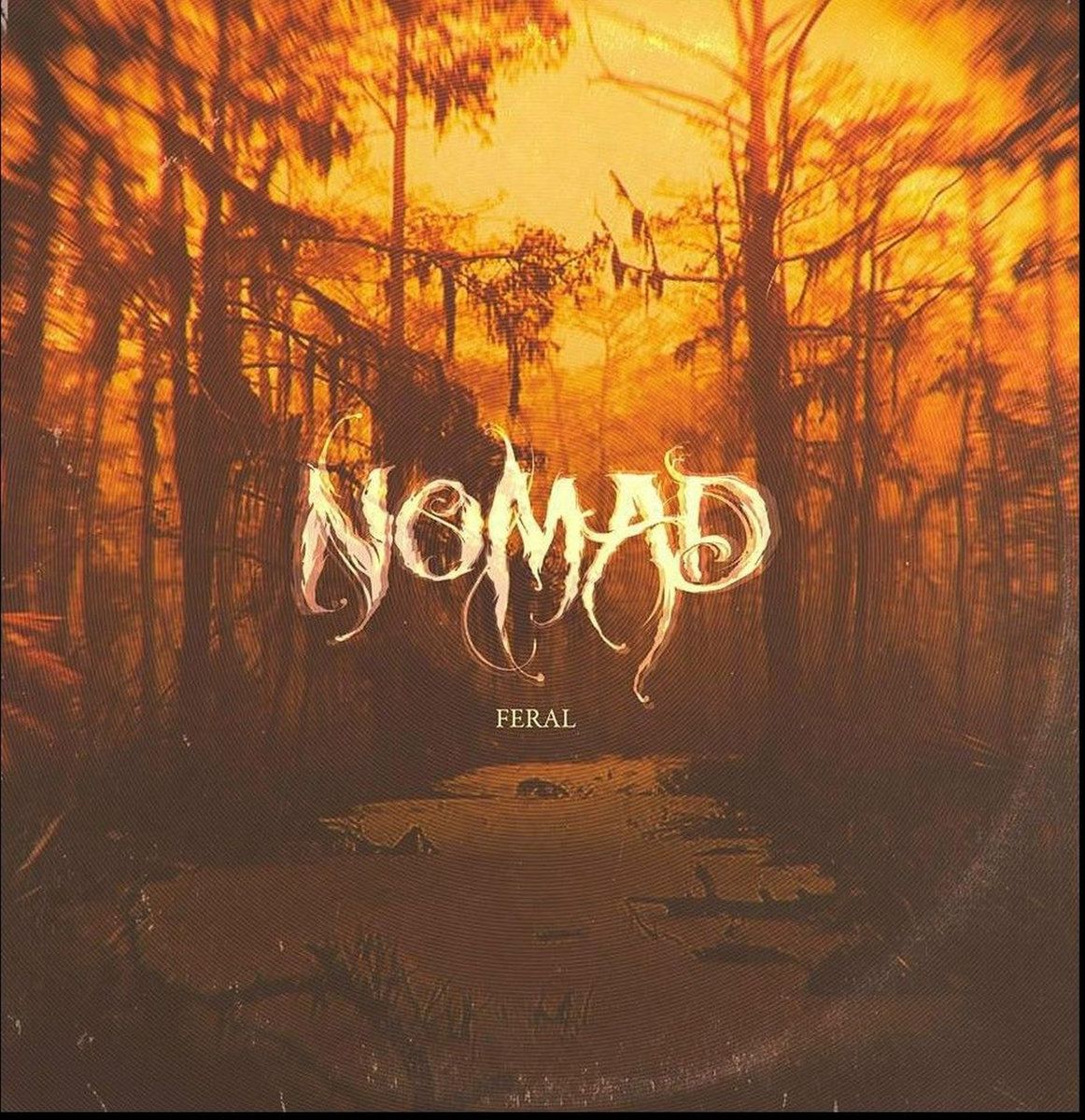 Nomad danes izdajajo novi album