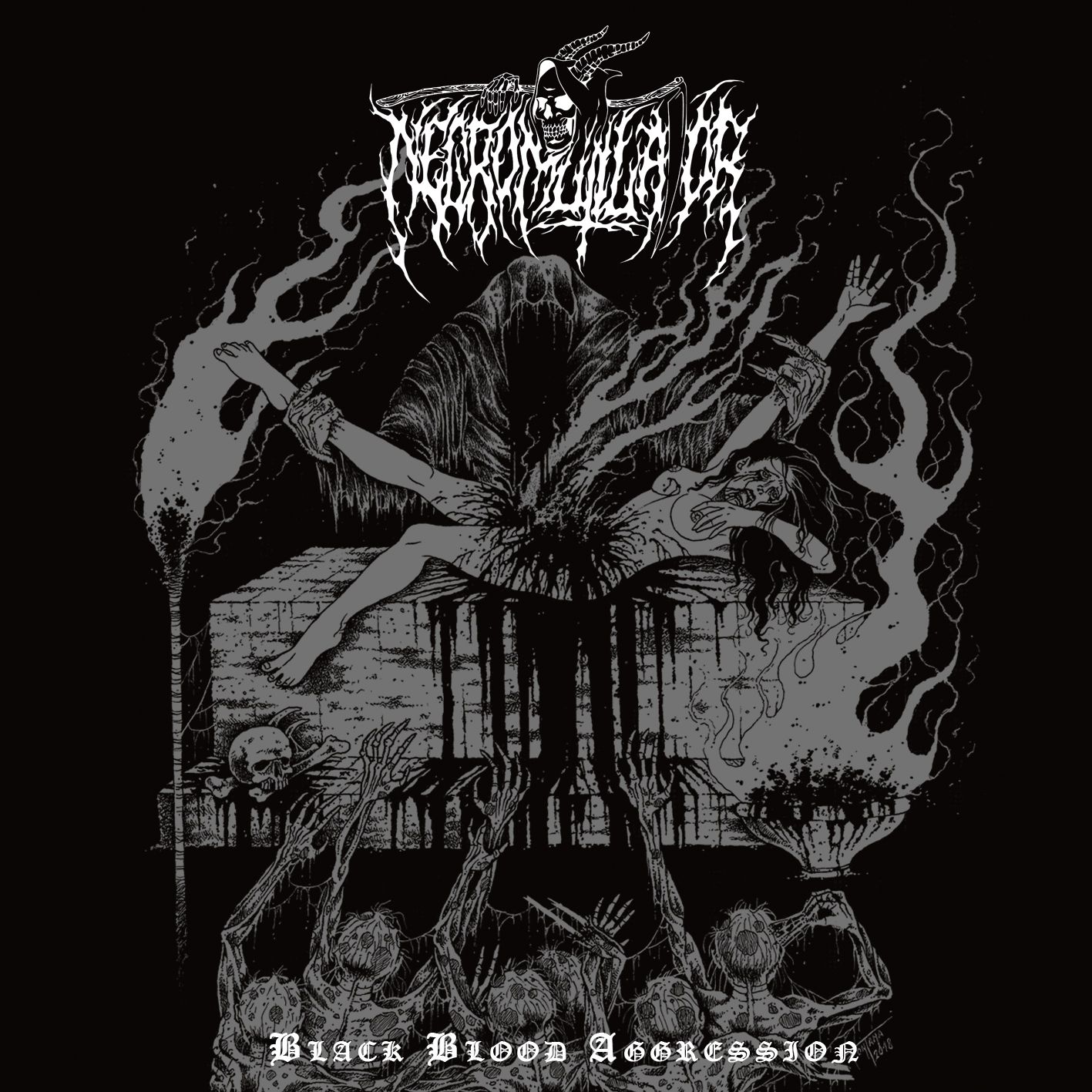Necromutilator tik pred izidom drugega albuma