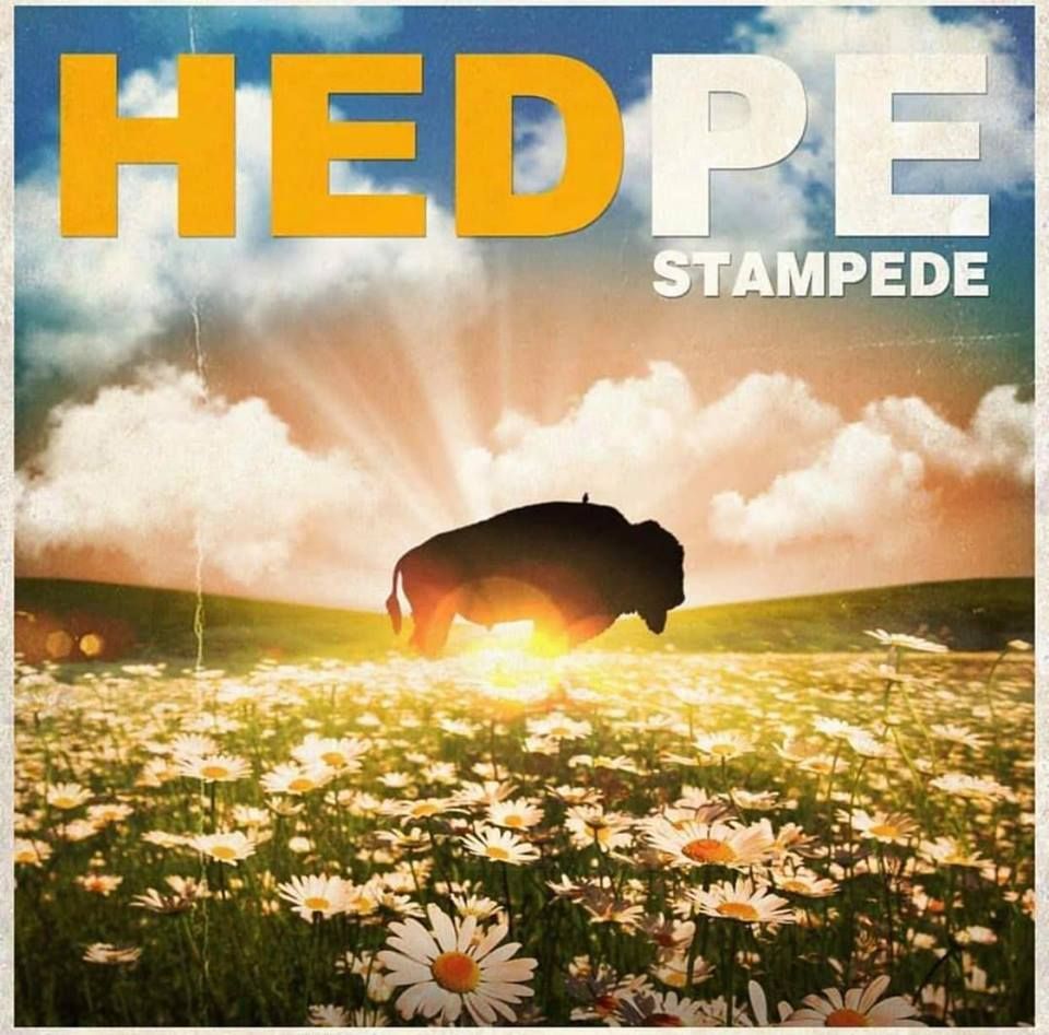 (Hed) P.E. napovedujejo novi studijski album