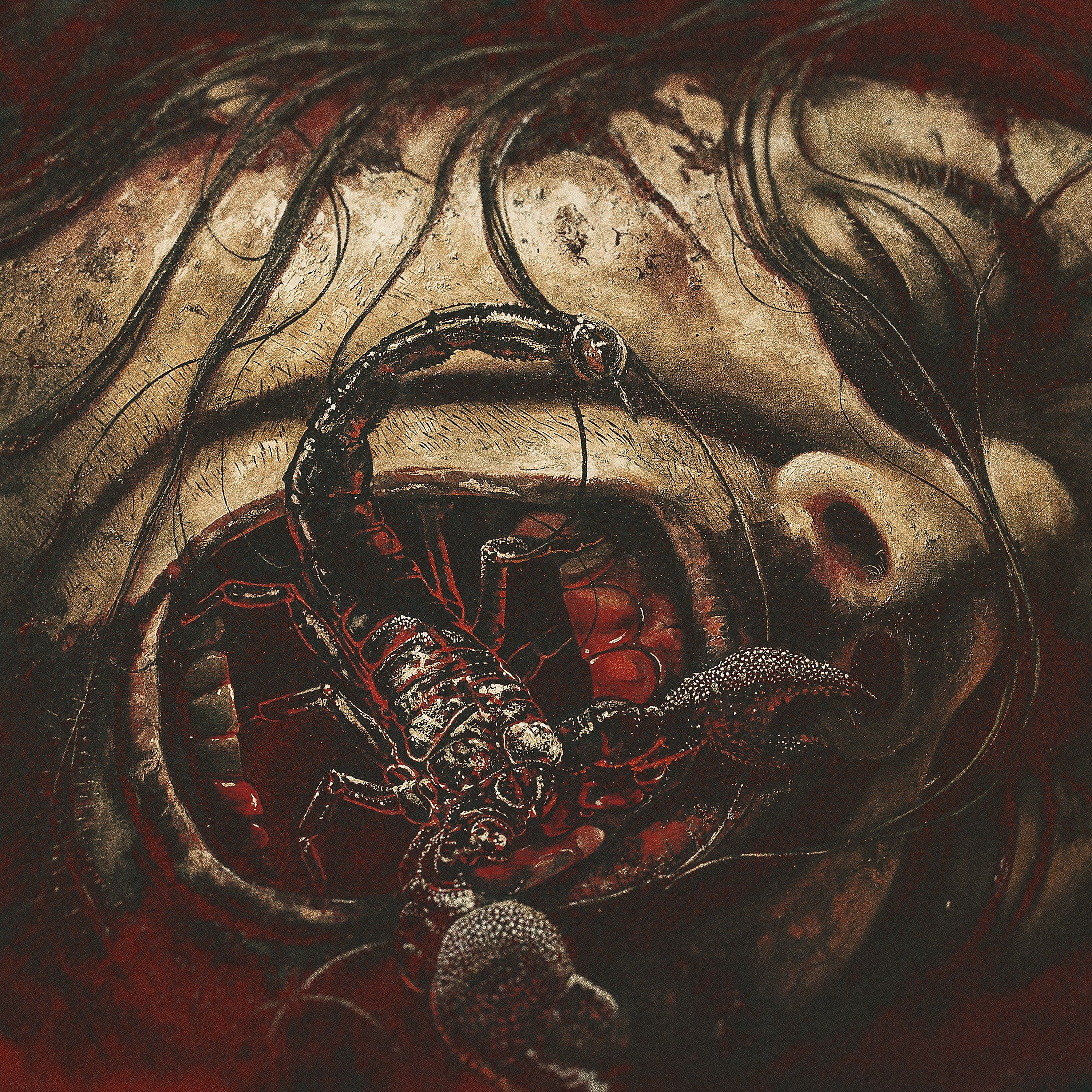 Oh, Sleeper predstavljajo skladbo Decimation & Burial