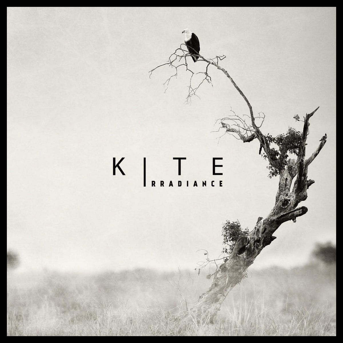 Prisluhnite novemu albumu Norvežanov Kite