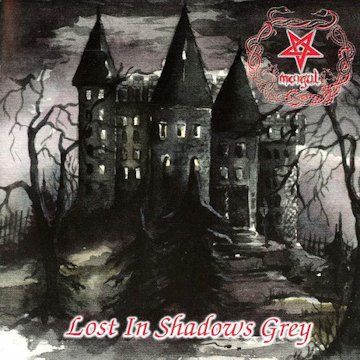 Lost in Shadows Grey