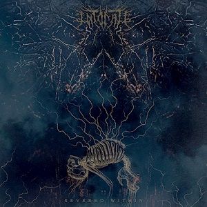 Kanadski death metalci ponovno vznikajo spomladi
