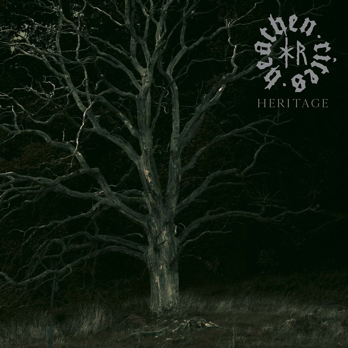 Heathen Rites napovedujejo debitantski album