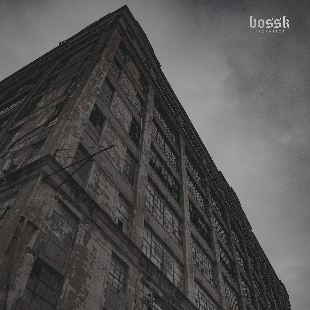Bossk napovedujejo svoj drugi studijski album