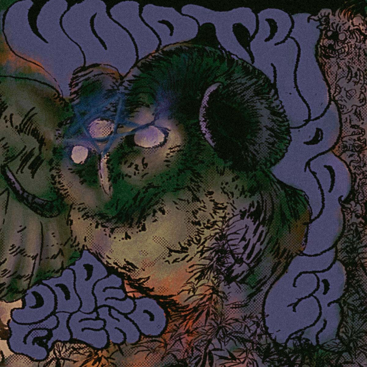 Void Tripper nedavno izdali svoj debitantantski album