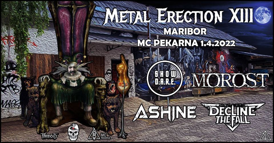 Metal Erection XIII