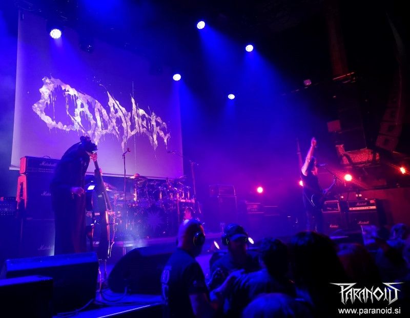 20220414_01_Cadaver_05.jpg