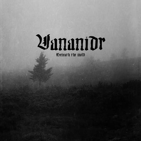 Vananidr napovedujejo četrti album