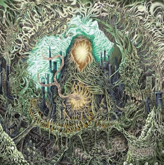 Claustrum