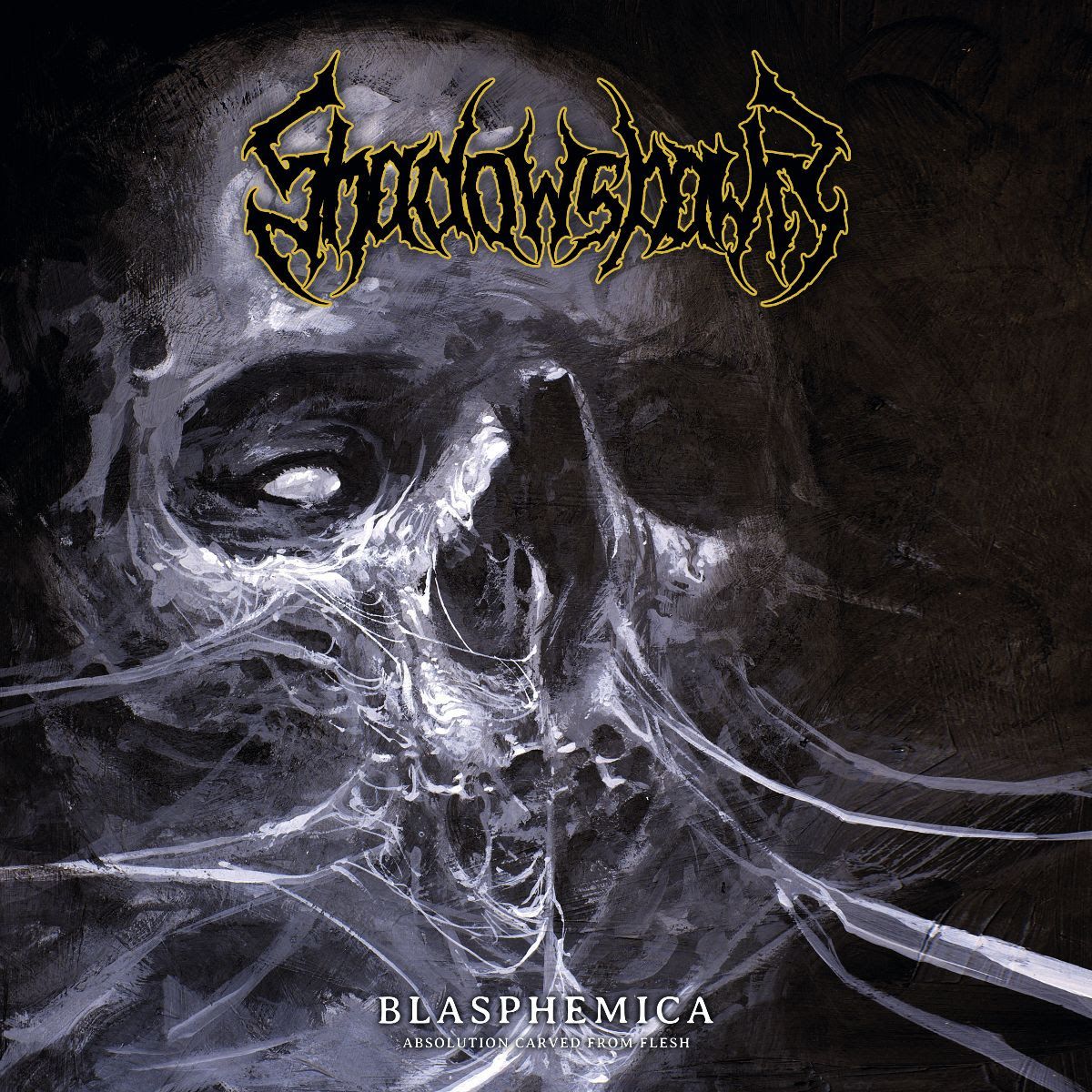 Nov album napovedujejo tudi Shadowspawn
