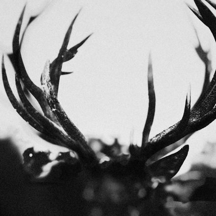 Ihsahn objavil še video za tretji single The Distance Between Us