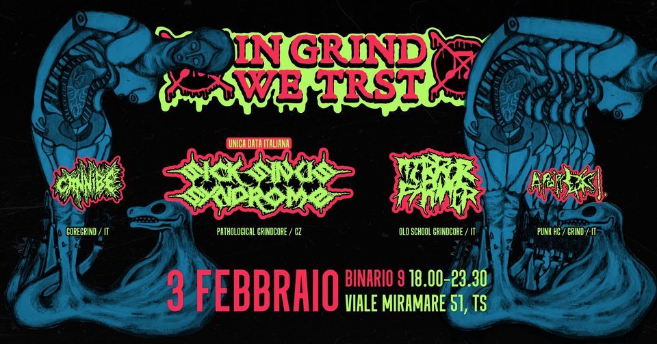 Noise Wagon Vol. 9: Sick Sinus Syndrome, Terror Firmer, Cannibe, Apoptosi HC