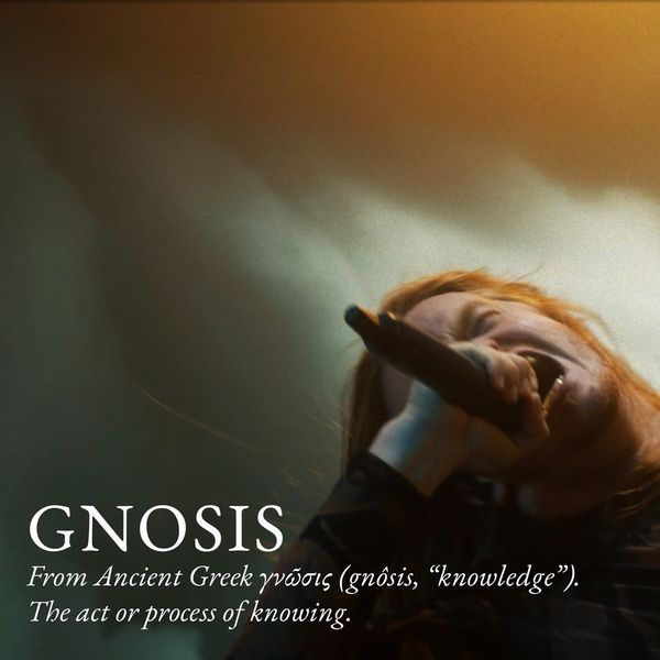 Equilibrium z novim singlom Gnosis