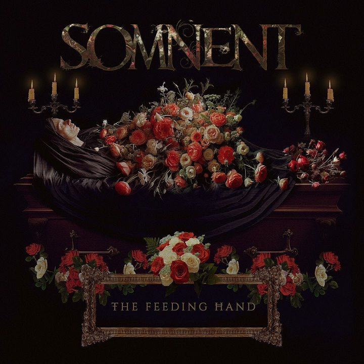 Somnent izdali single The Feeding Hand