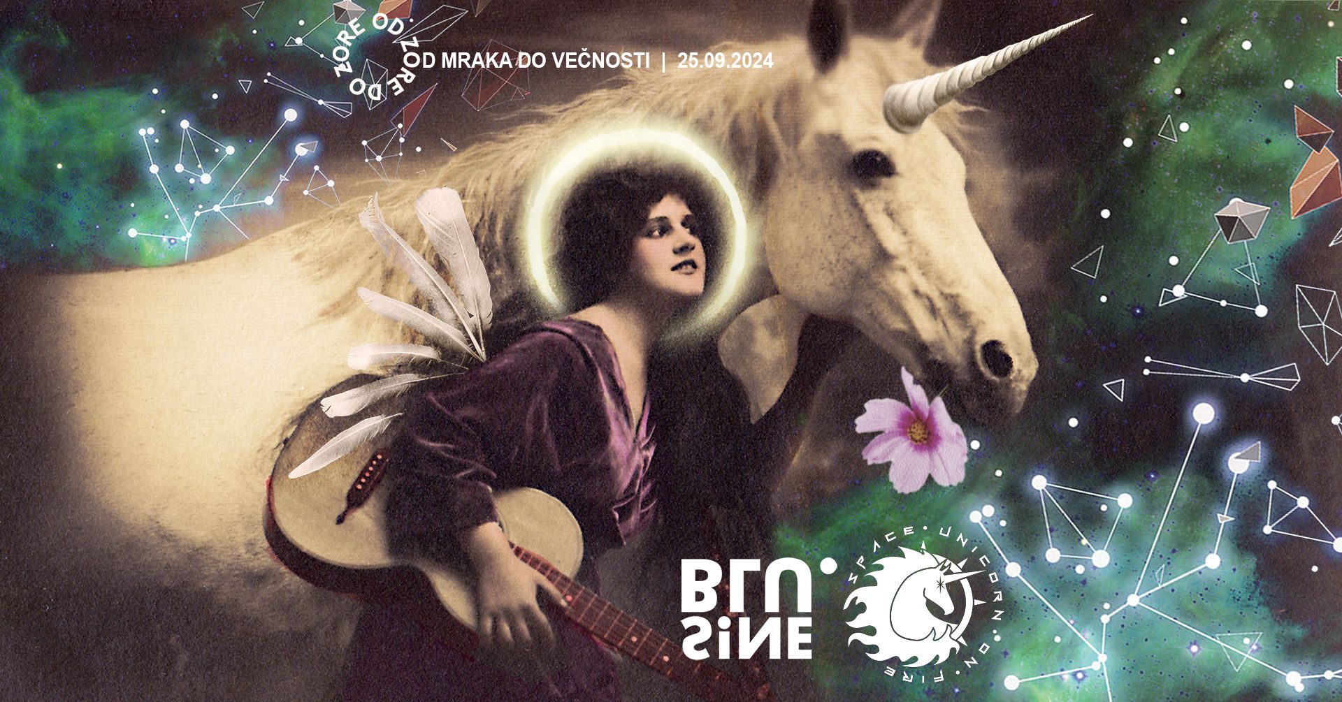 Space Unicorn on Fire / Blu.Sine