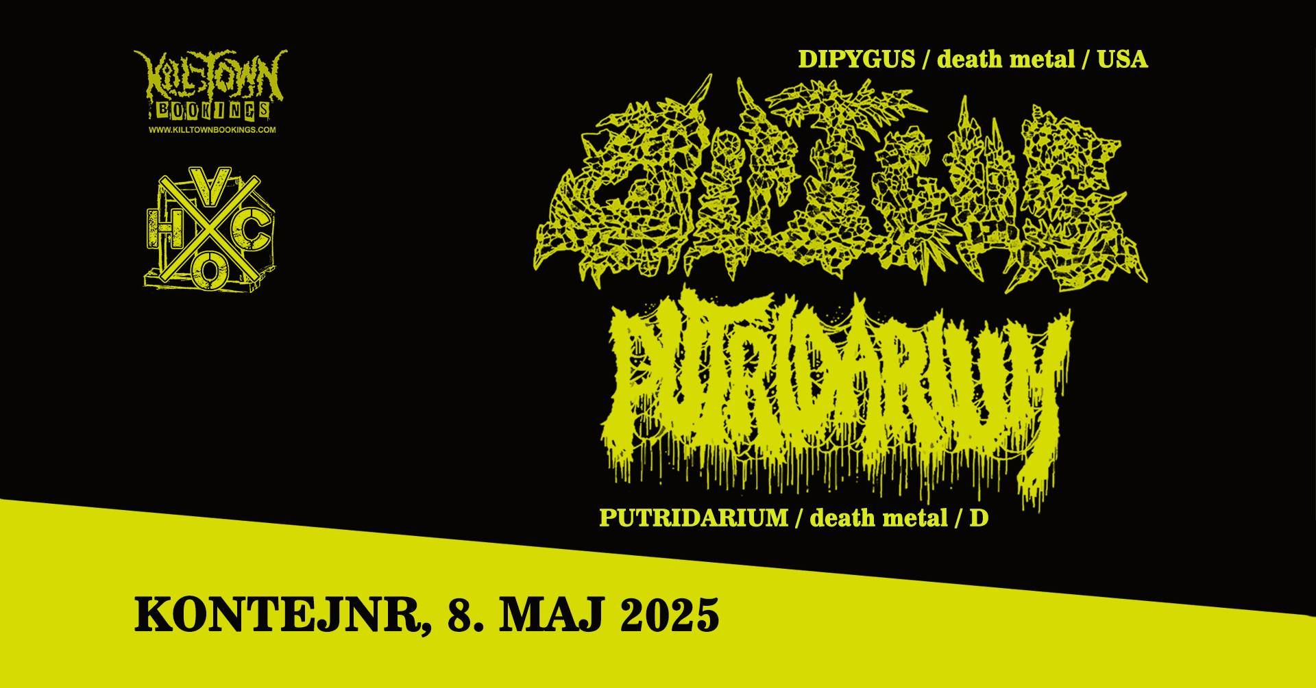 Dipygus, Putridarium