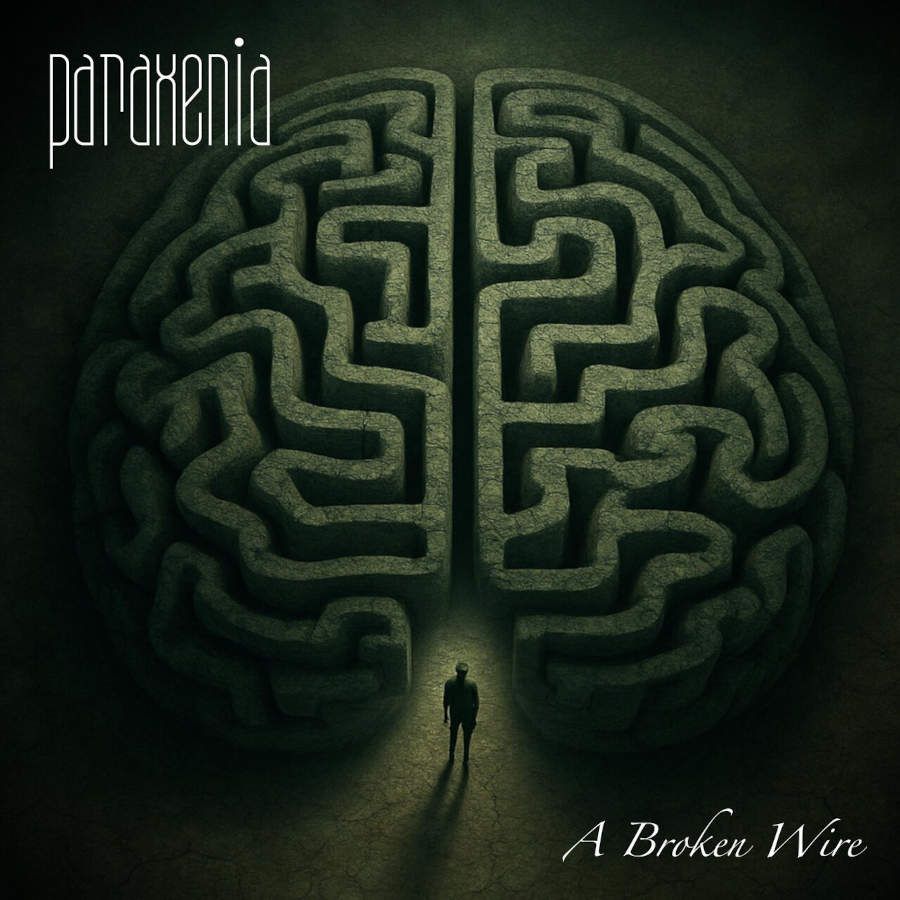 Paraxenia posnel besedilni video za A Broken Wire