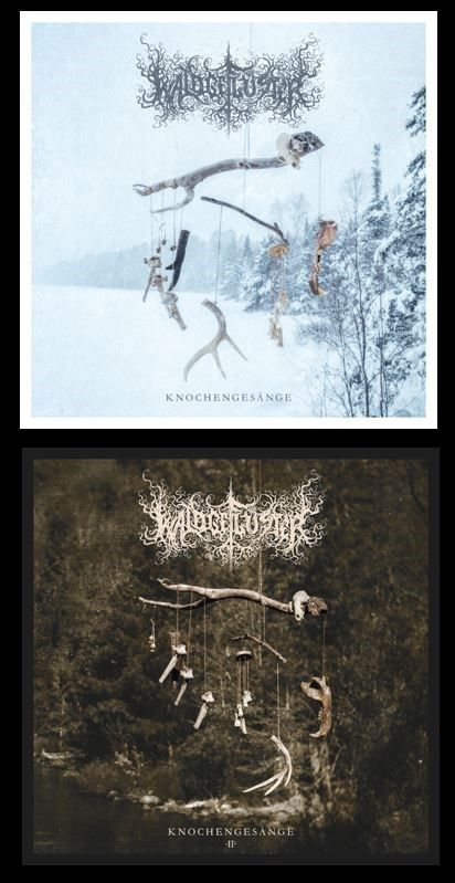 Waldgeflüster novembra z dvojnim albumom