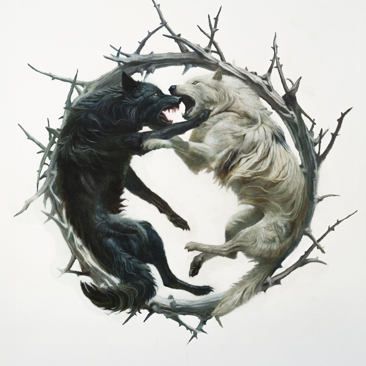 Stellar Circuits posneli video za Bury the Ashes