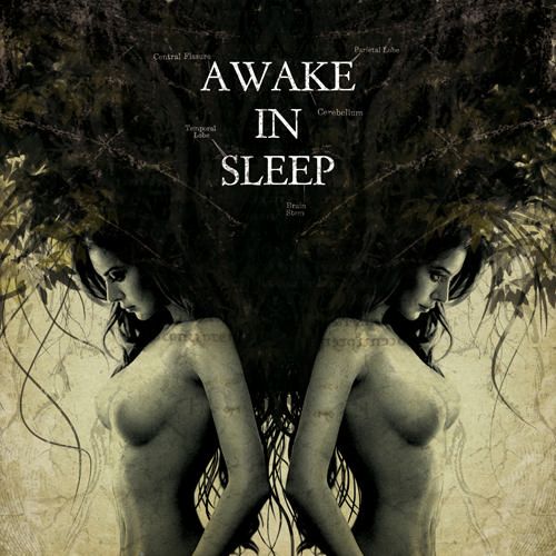 Awake In Sleep