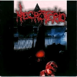 Lament Of Flesh