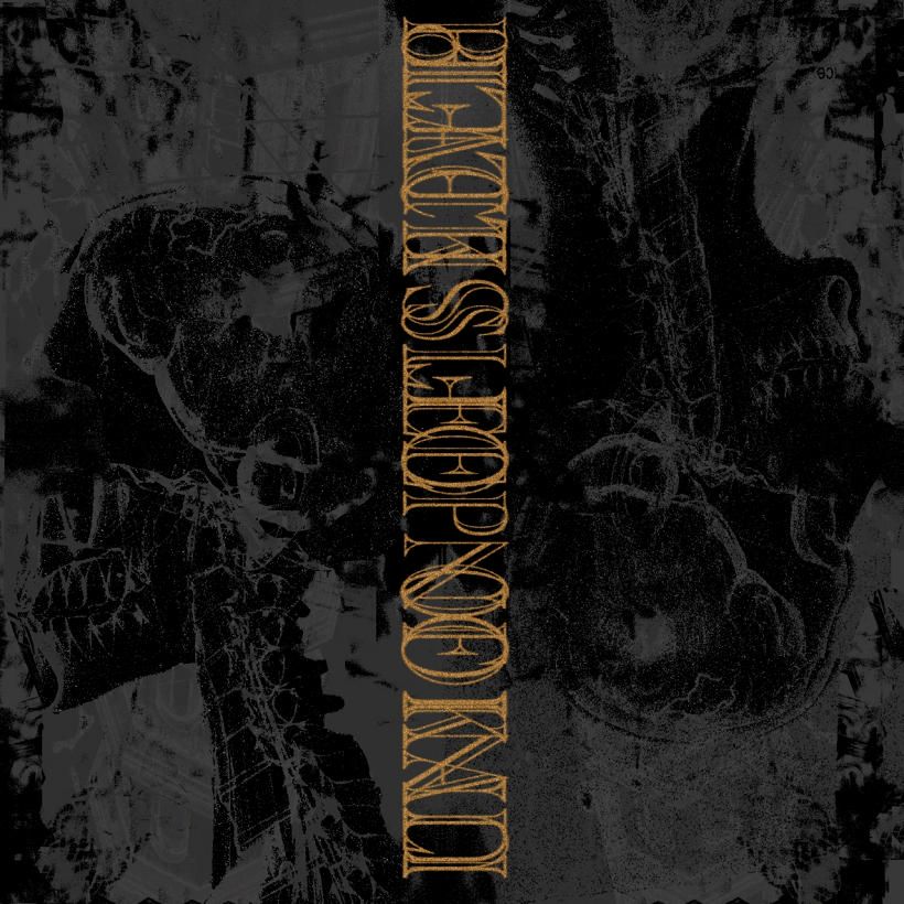 Union Of Sleep, Black Sleep Of Kali