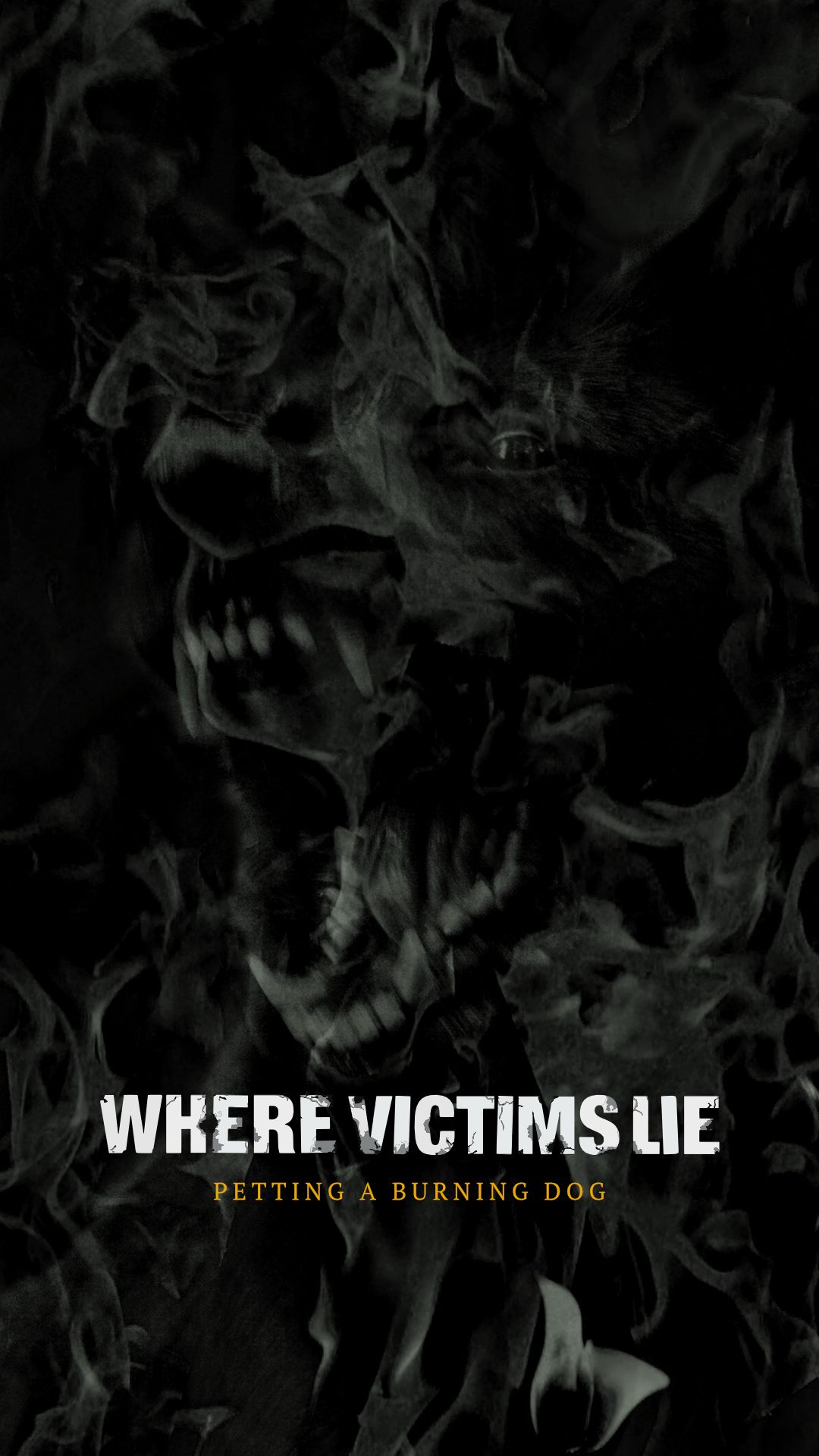 Z debitantskim EP-jem kmalu tudi Where Victims Lie