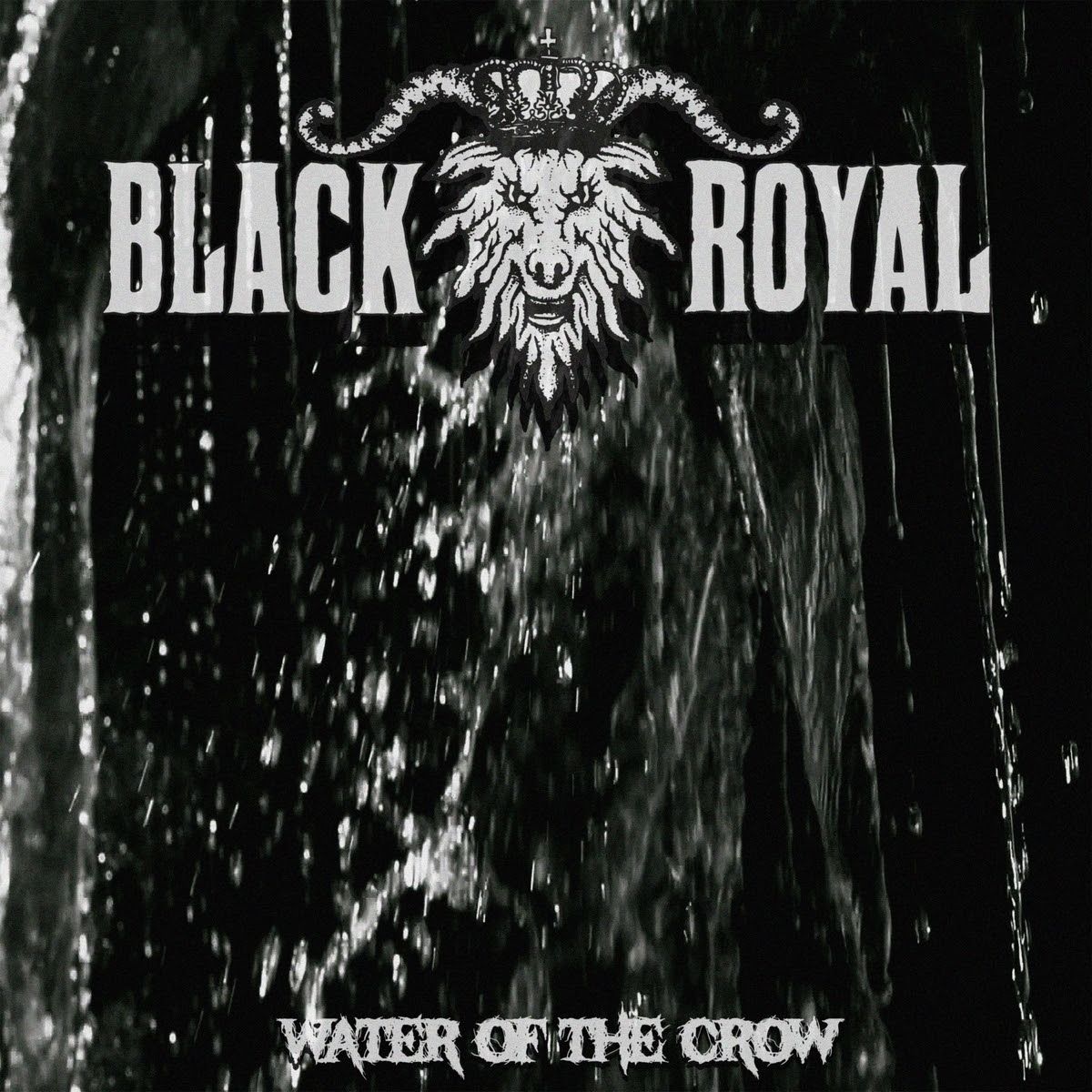 Black Royal so se vrnili z Water of the Crow