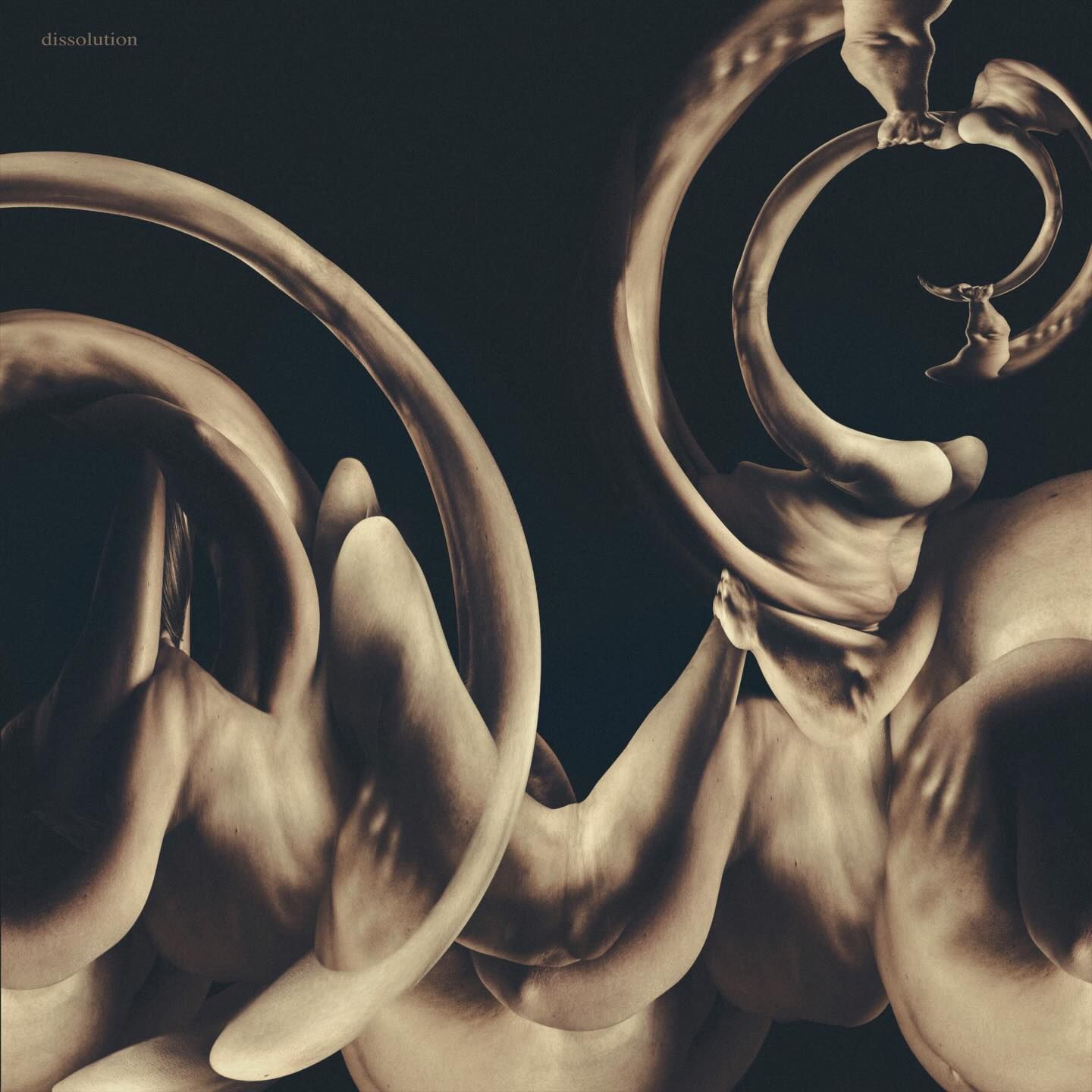 Siamese napovedali album Dissolution