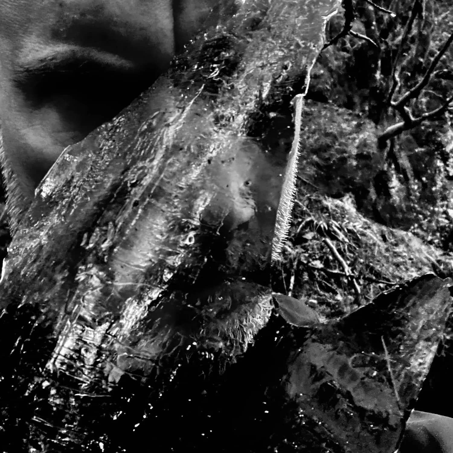 Taake konec julija z devetim albumom