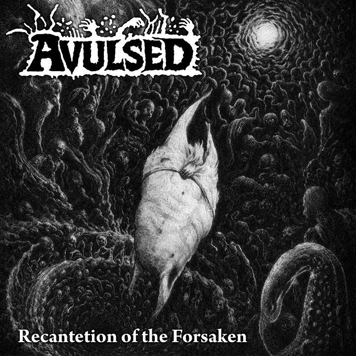 Avulsed z osmim razkritjem z Nordic Embryogenesis